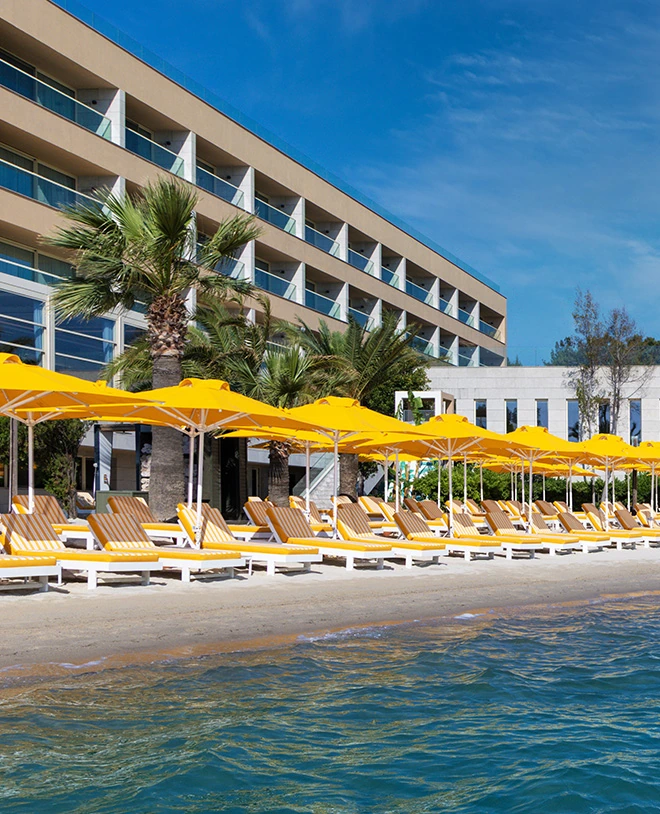 D Resort Ayvalık keşfet bölümü Ayvalık küçük tanıtım görseli